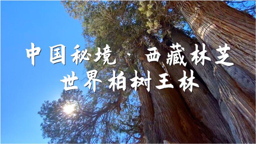 逃出漂浮的小岛