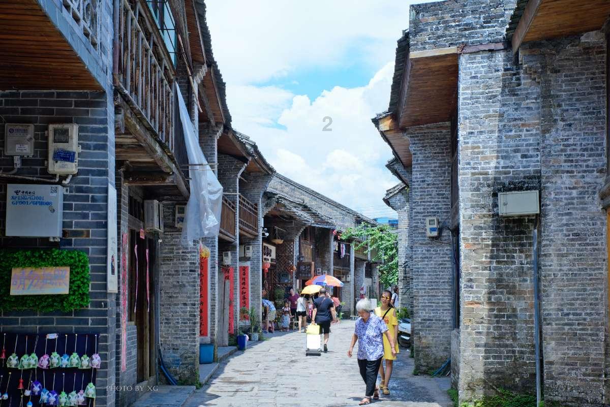腔尾赣地巨龙!江西发现命名9000多万年前的恐龙新属种